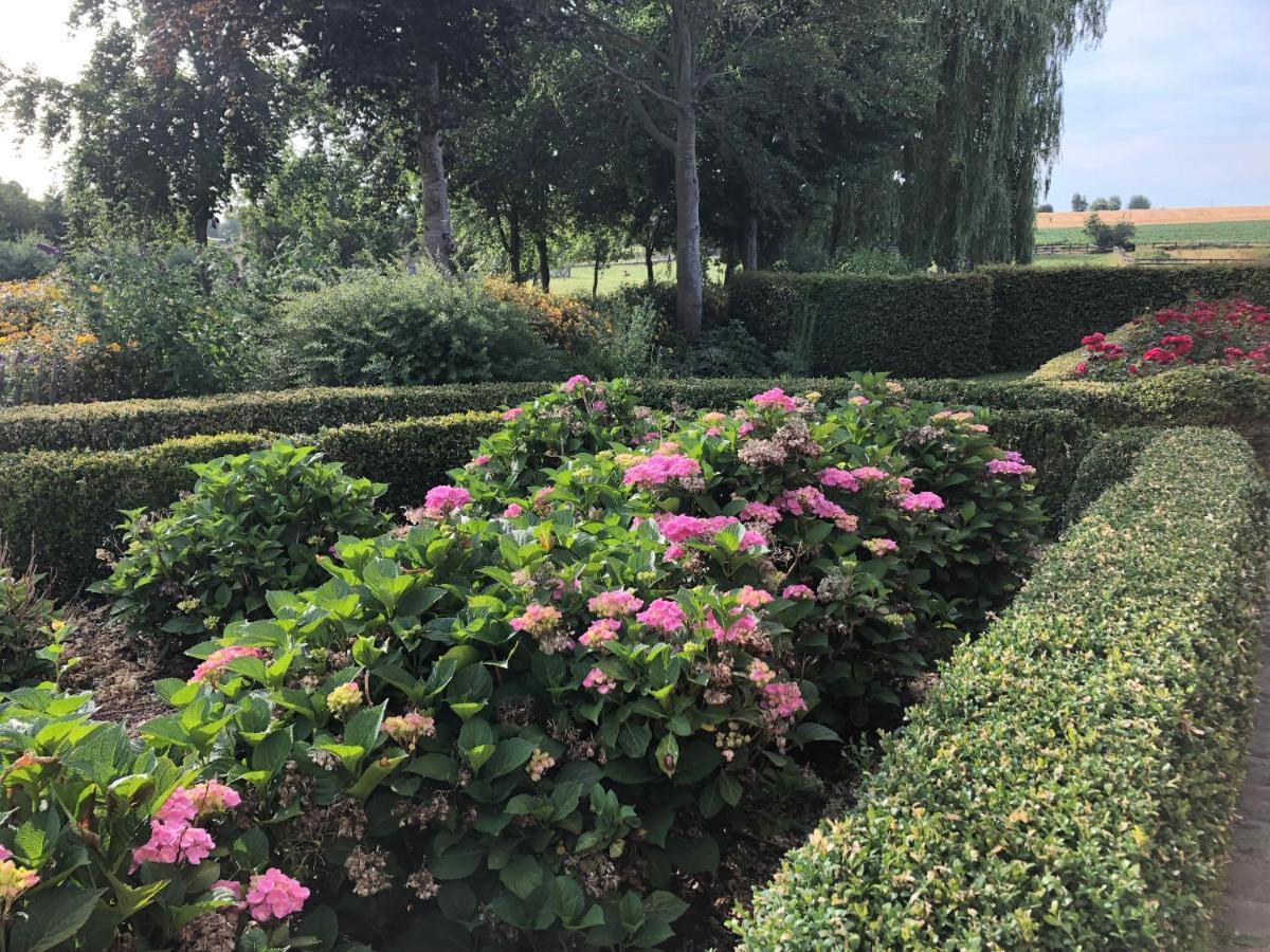 Villa Au Coeur Des Collines, Charmette Ellezelles Esterno foto